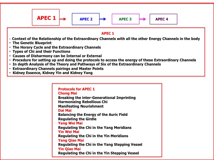 APEC 1 Course Summary